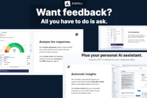 Zigpoll AI personal assistant for feedback