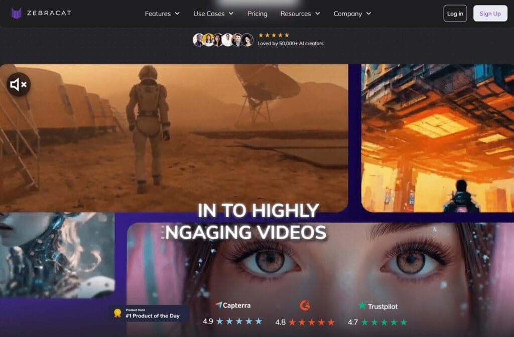 Zebracat Featured Image